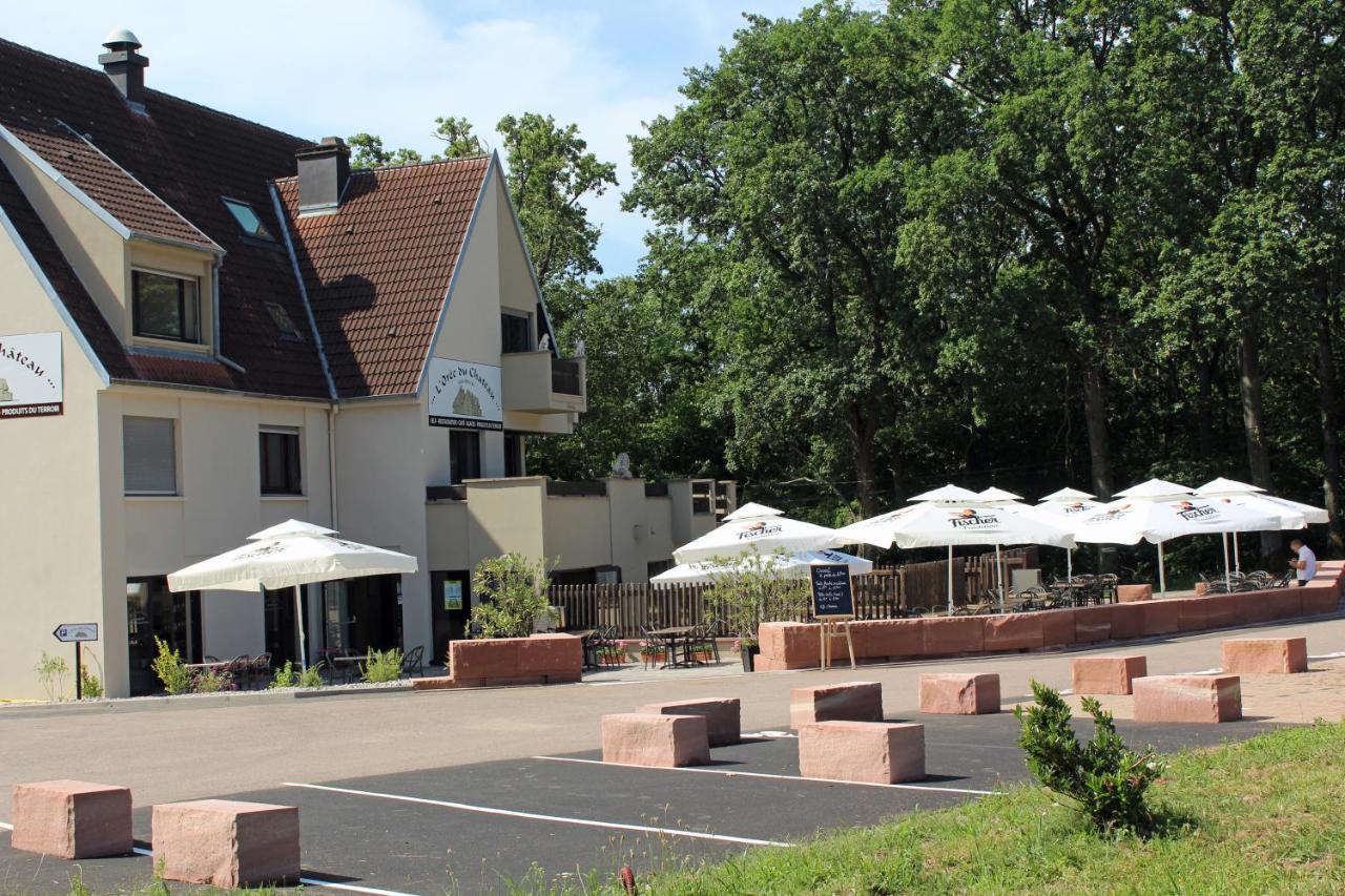 Gite L'Oree Du Chateau - Appartement Potiron Orschwiller Εξωτερικό φωτογραφία
